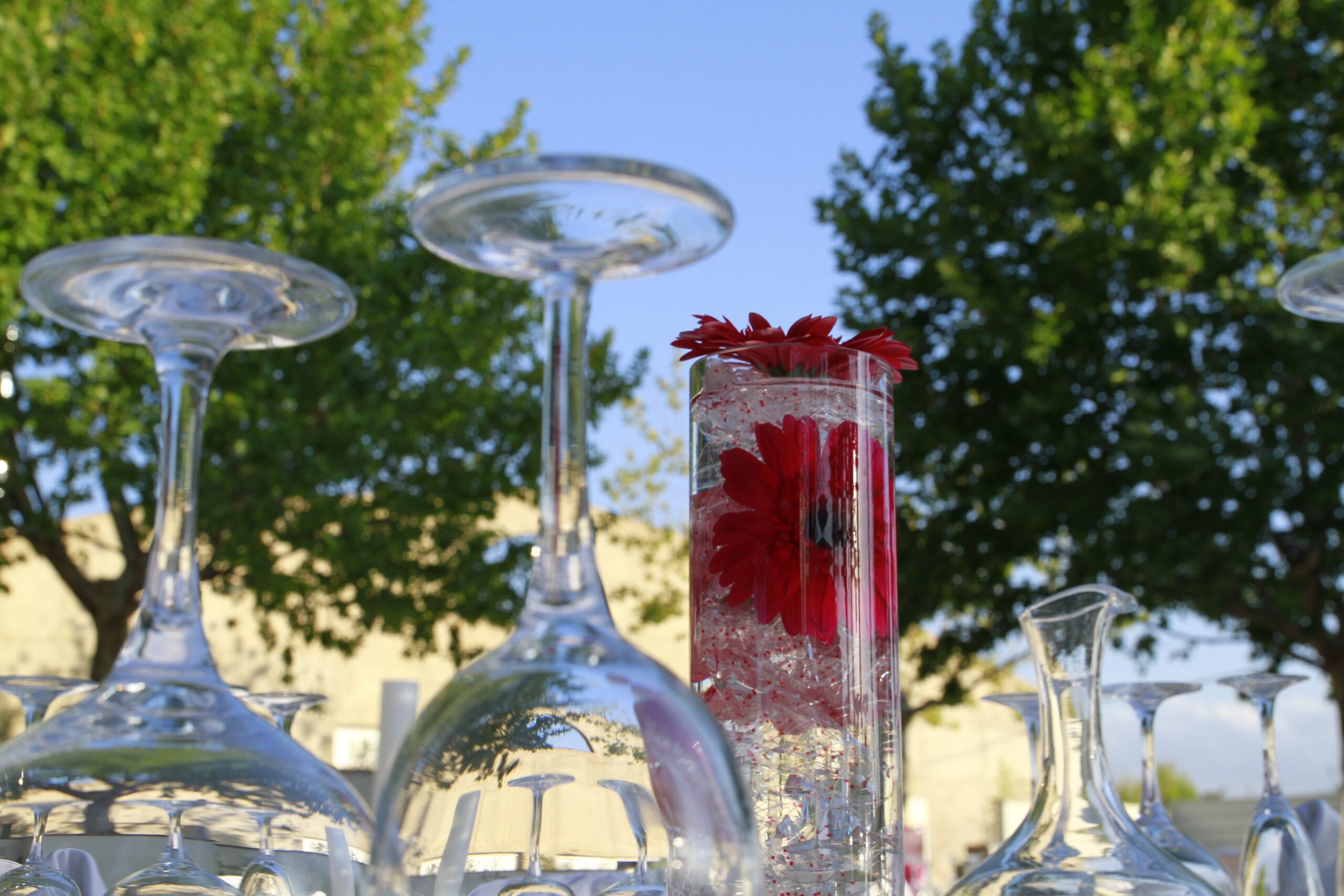 Jardín para bodas en Albacete